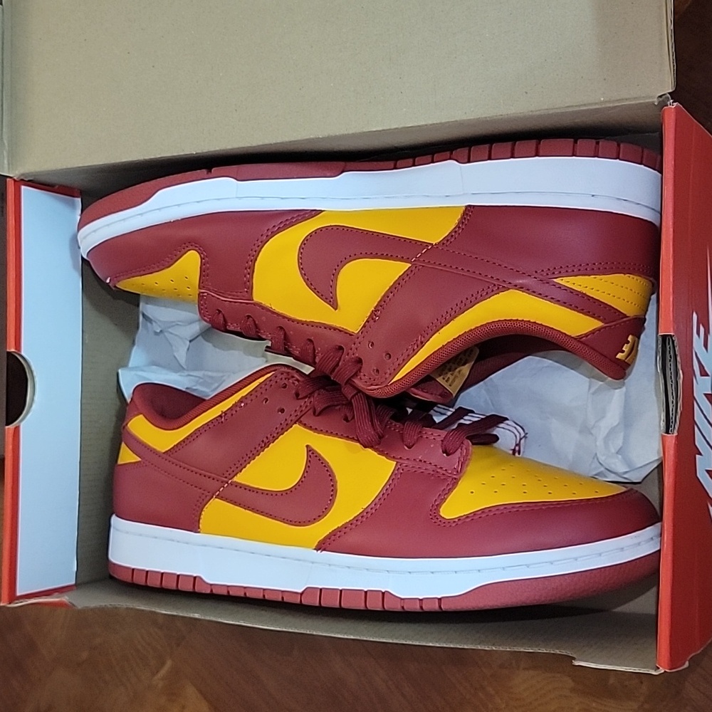 Nike dunk low retro  12.5